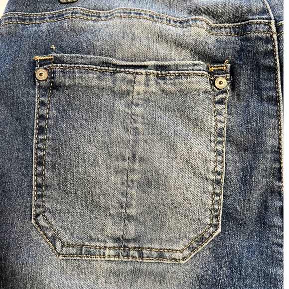 Democracy Blue and Cream Skinny Jeans with Floral Embroidery - Picture 9 of 13